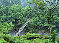 池の谷の吊橋
