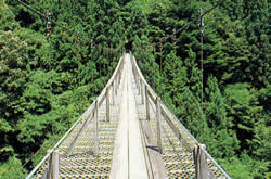 中山沢夢の吊橋